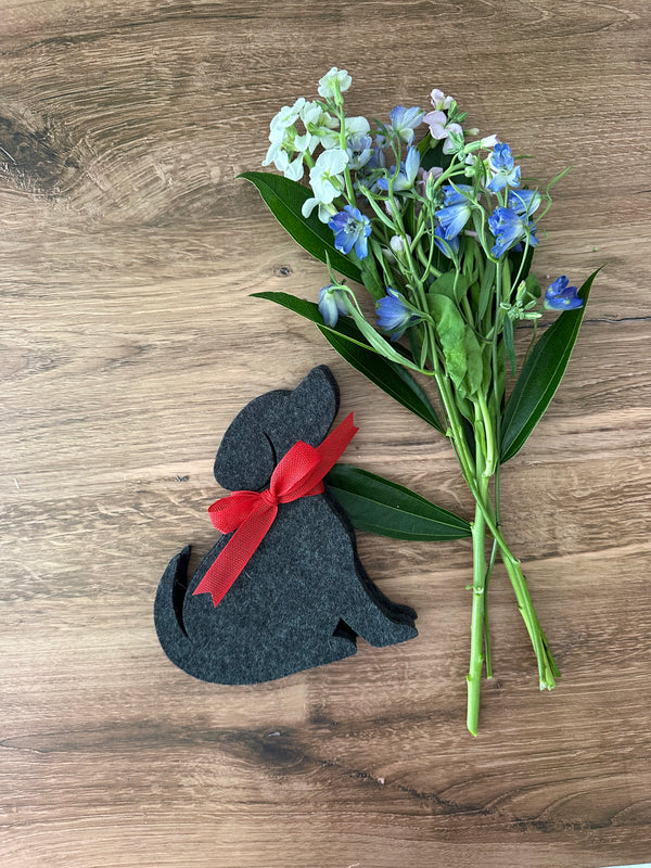 Dog Coasters