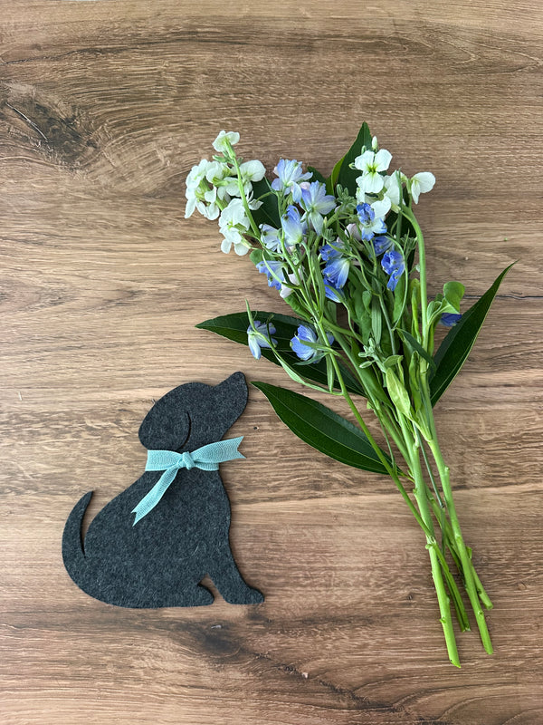 Dog Coasters