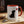 Dog Coffee Mug