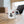 Cat Mug