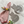 Cat Coasters – Wool Felt Set of 4 Drink Coasters